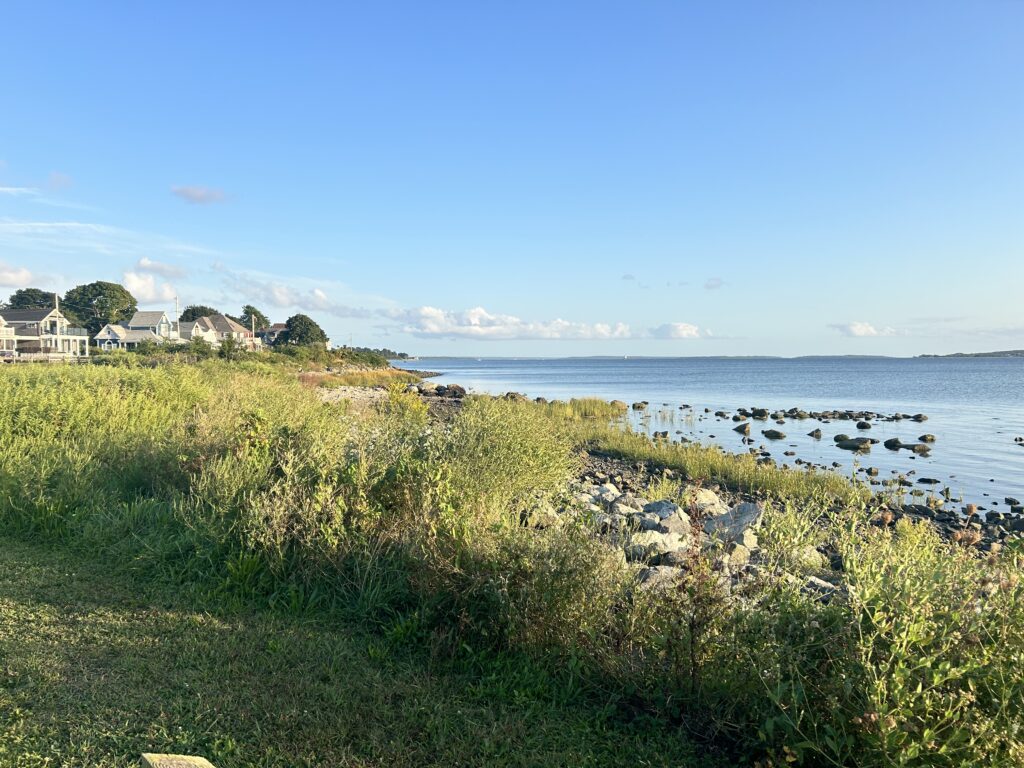 a grassy area next to a body of water (MyCoast AI)