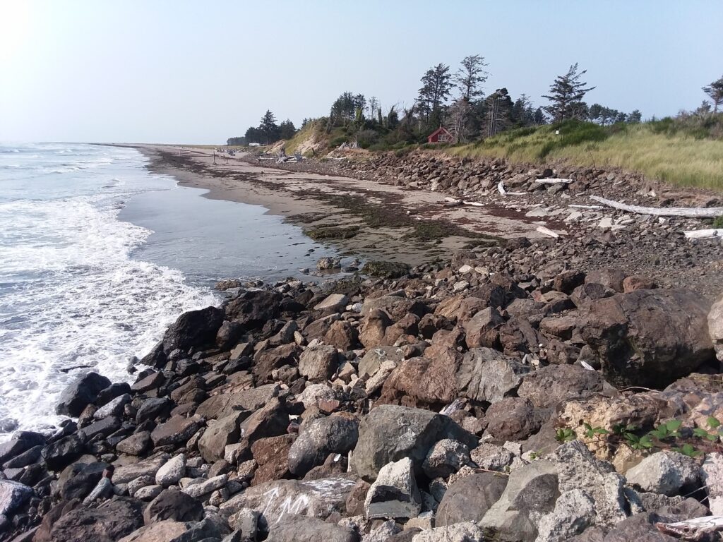 a rocky beach with a body of water and trees in the background (MyCoast AI)