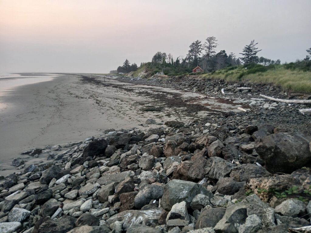 a rocky beach with trees in the background (MyCoast AI)
