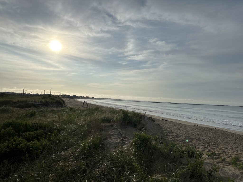 a beach with grass and sand (MyCoast AI)