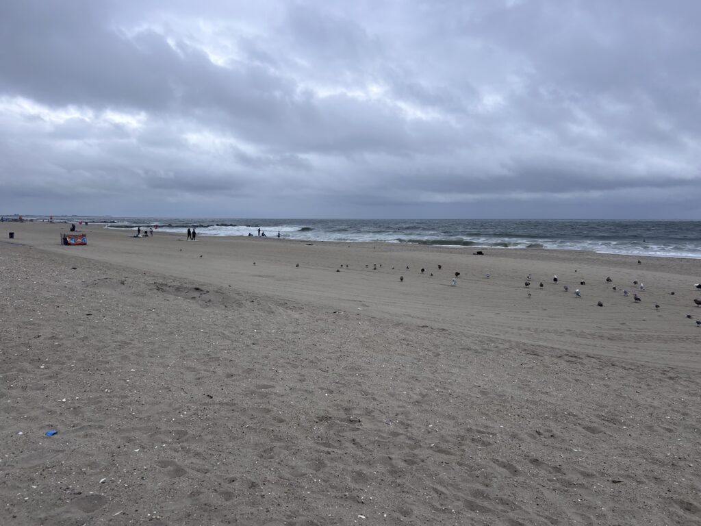 a beach with people on it (MyCoast AI)