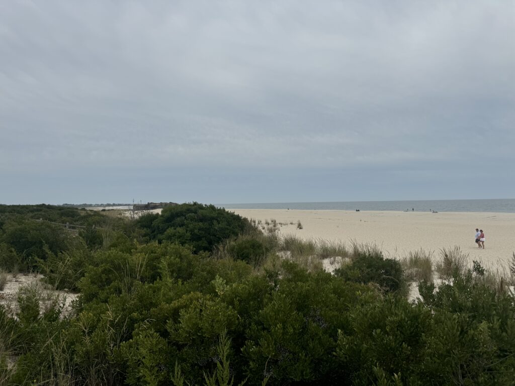 a person walking on a beach (MyCoast AI)