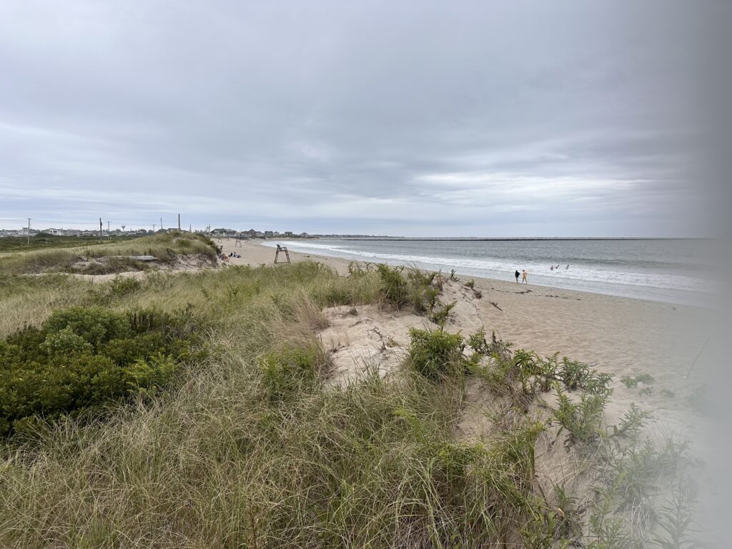 a beach with people walking on it (MyCoast AI)