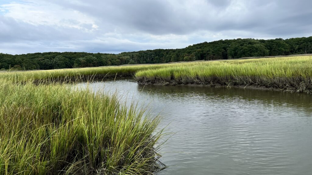 a body of water with grass and trees around it (MyCoast AI)