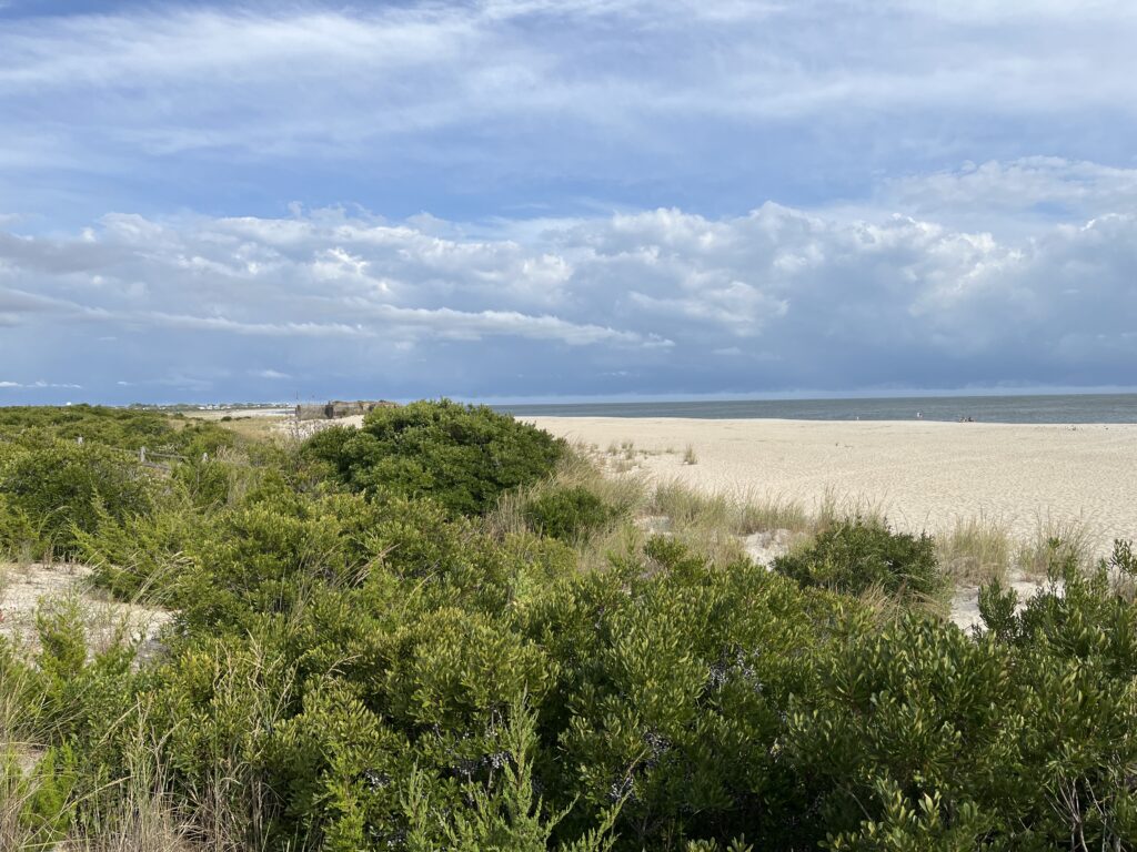 a landscape with bushes and trees (MyCoast AI)