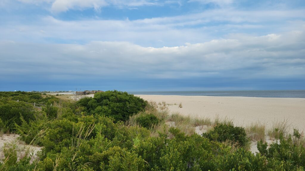 a sandy beach with bushes and trees (MyCoast AI)