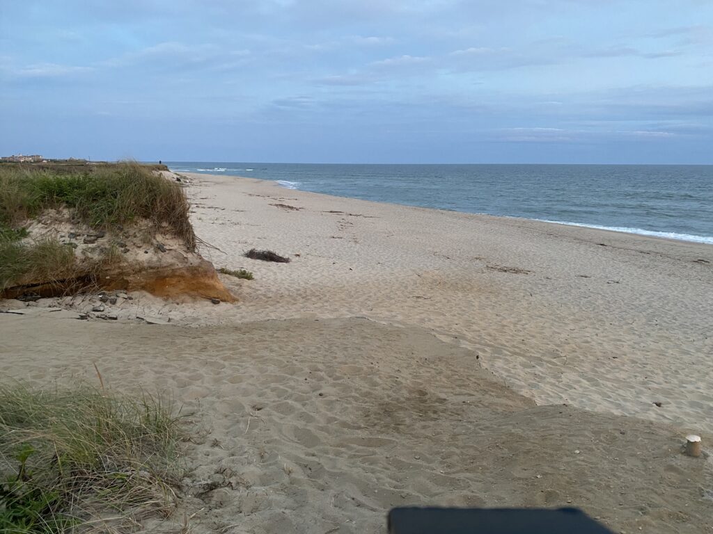 a sandy beach with water and grass (MyCoast AI)