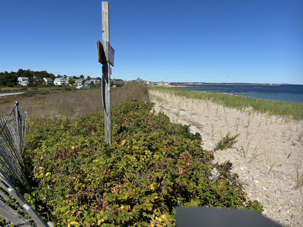 a sign in a field (MyCoast AI)