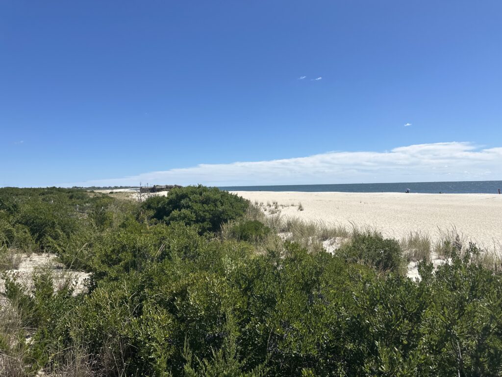a landscape with trees and bushes (MyCoast AI)