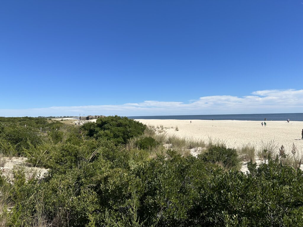 a beach with bushes and trees (MyCoast AI)