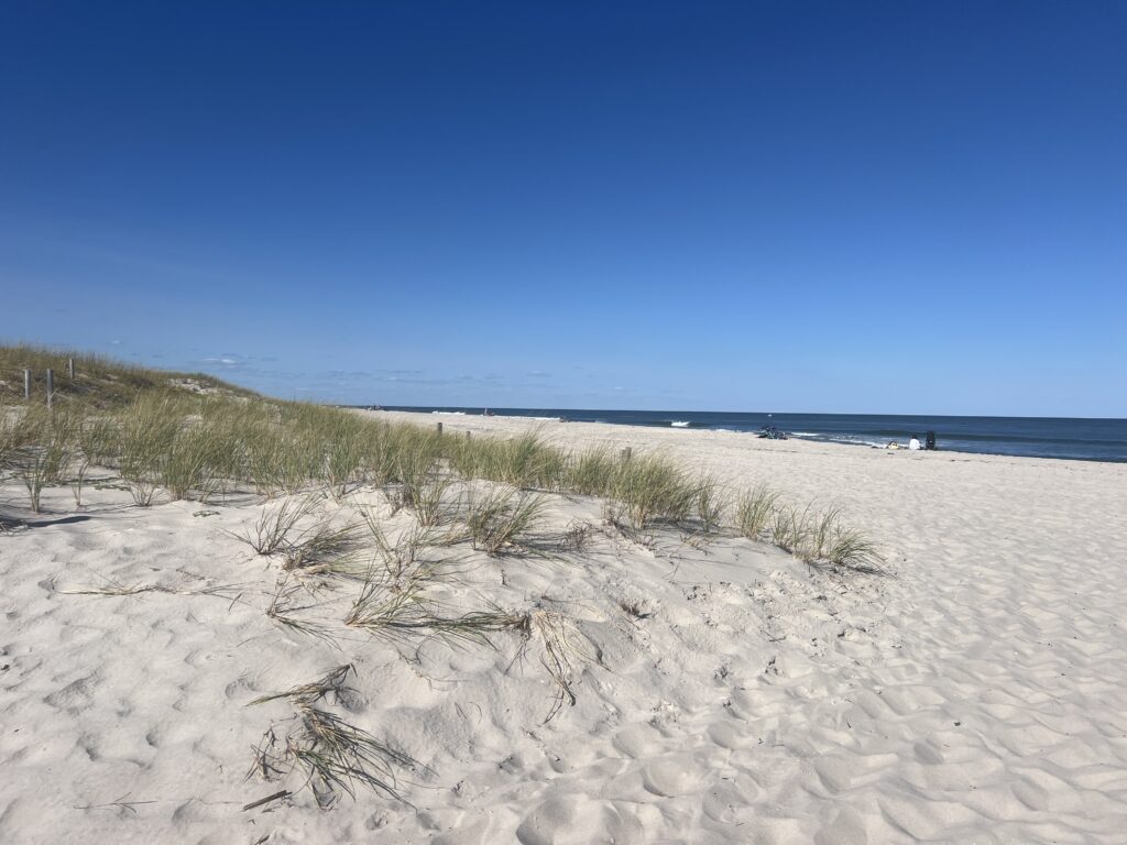 a sandy beach with grass and sand (MyCoast AI)