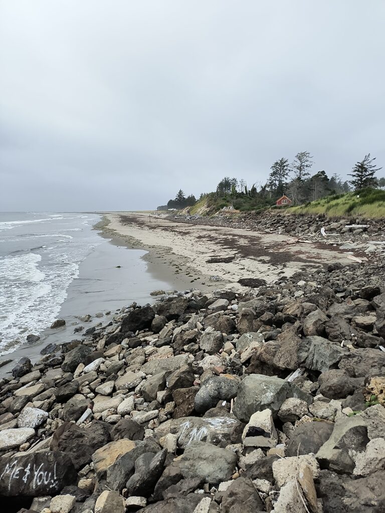 a rocky beach with trees and a hill in the background (MyCoast AI)