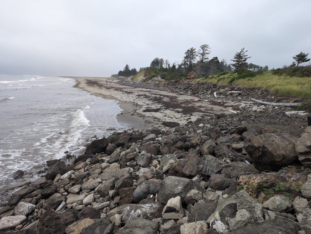 a rocky beach with trees and a hill in the background (MyCoast AI)
