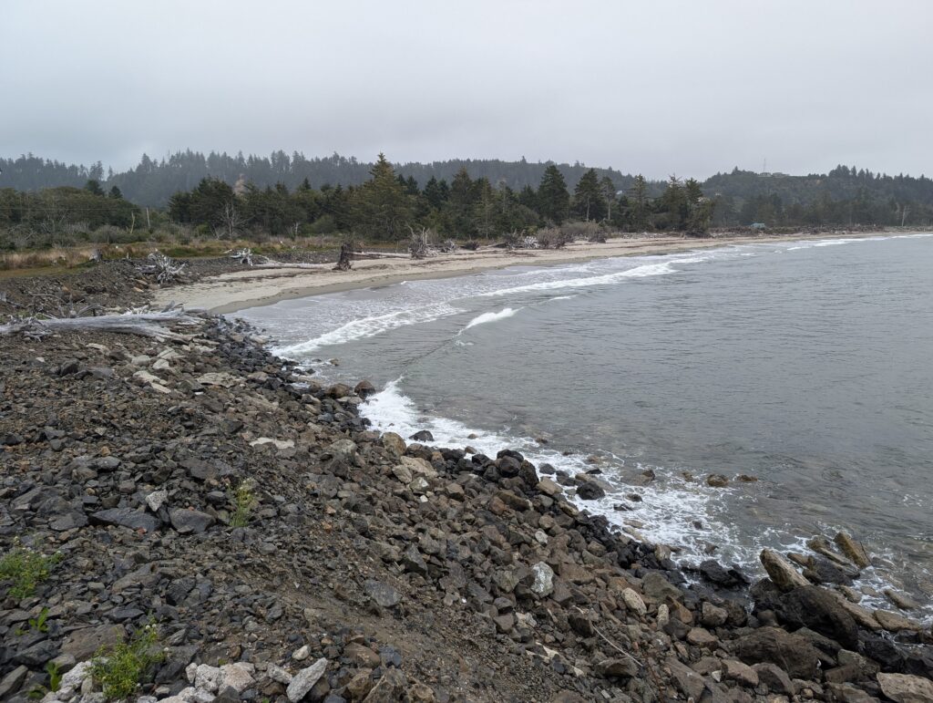 a rocky beach with trees in the background (MyCoast AI)