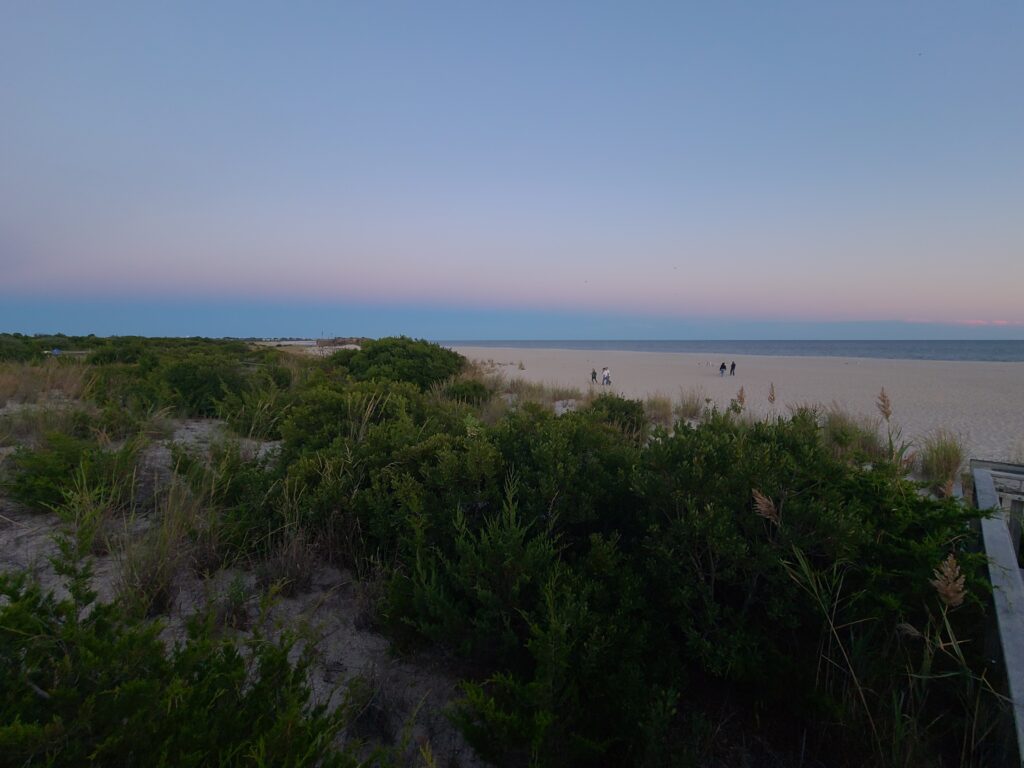 a beach with bushes and trees (MyCoast AI)