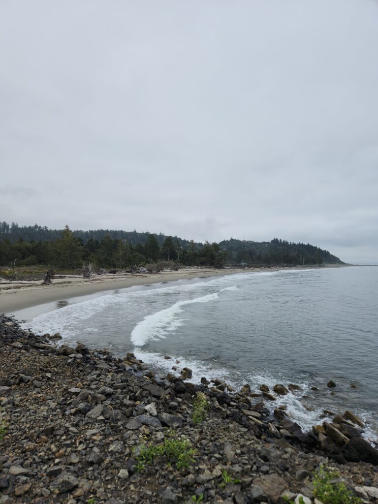 a beach with rocks and trees (MyCoast AI)