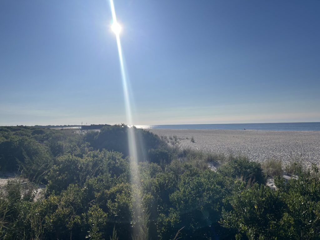 a rocket launching into the sky (MyCoast AI)