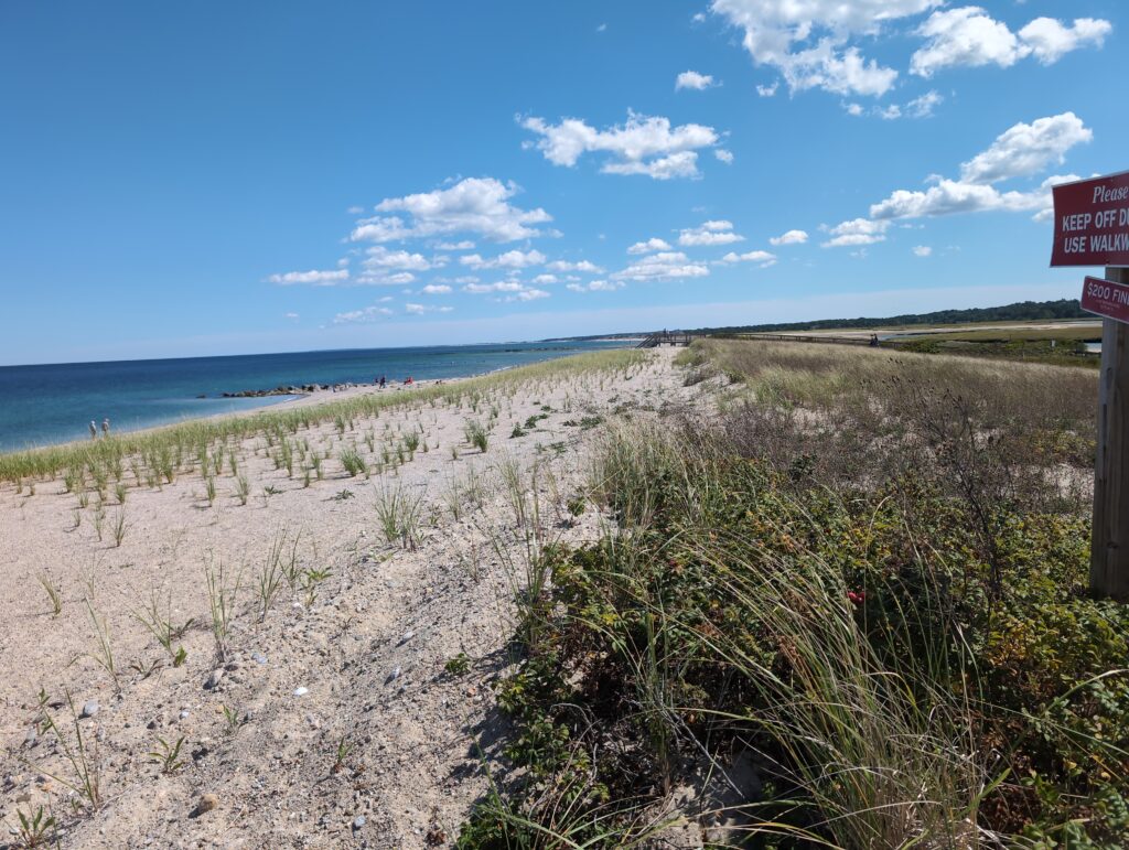 a sandy beach with bushes and a sign (MyCoast AI)