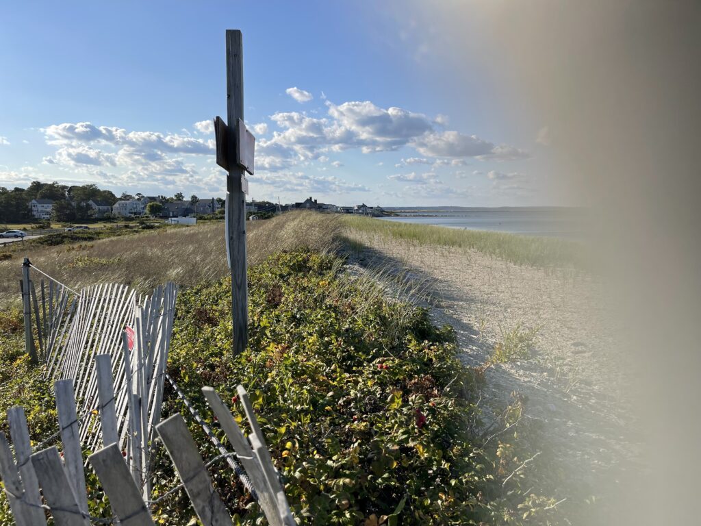 a fence and a field (MyCoast AI)