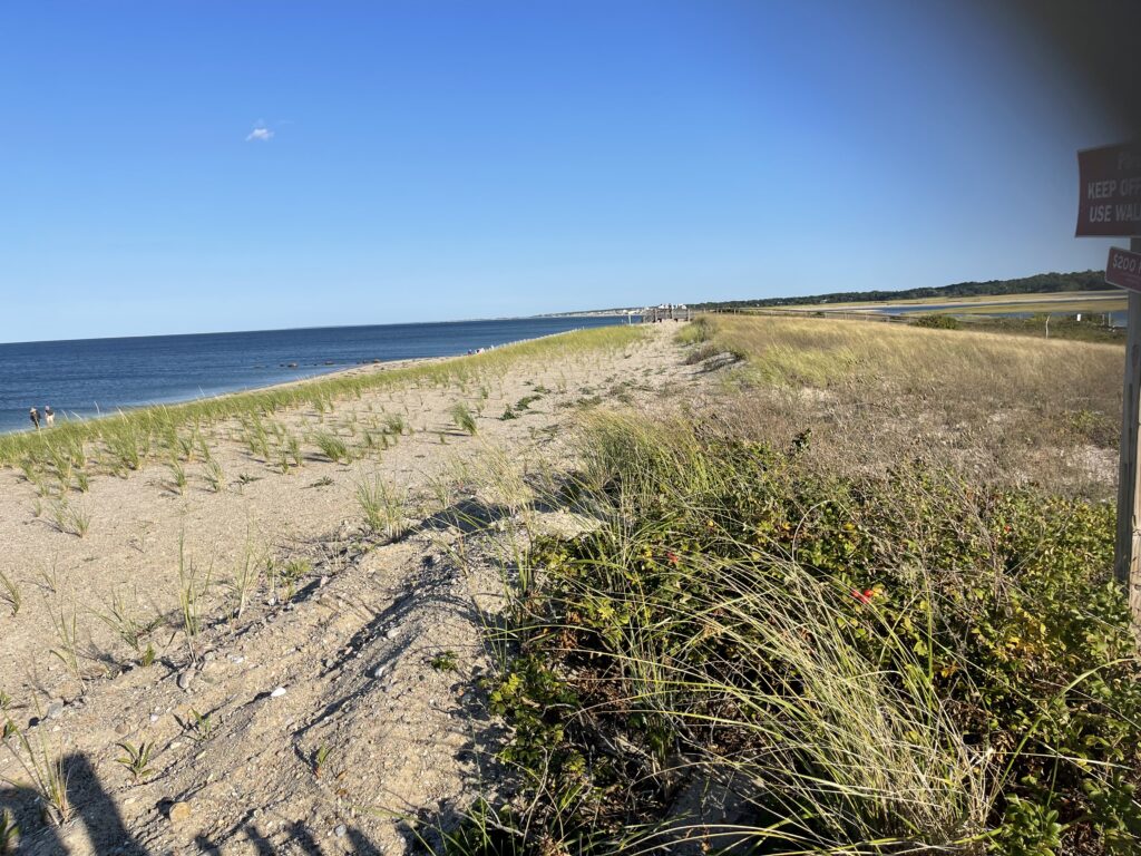a dirt road next to a beach (MyCoast AI)