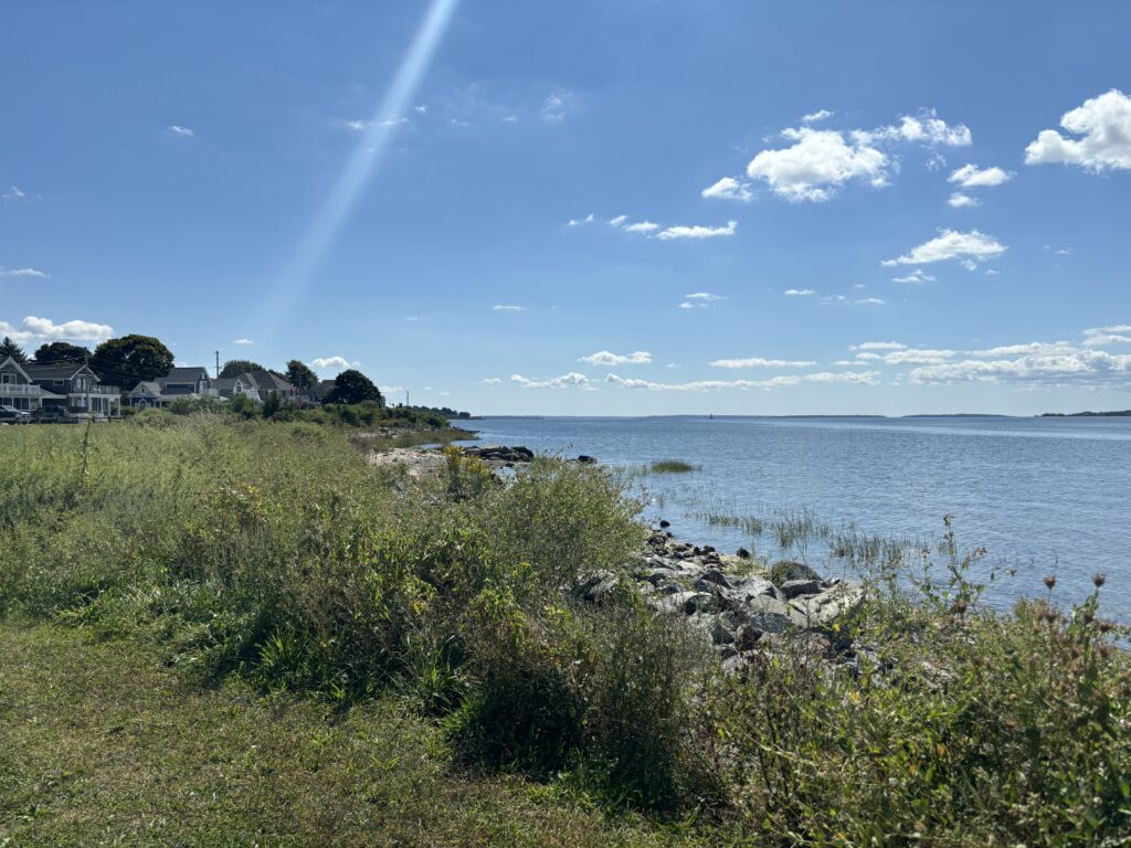 a grassy area next to a body of water (MyCoast AI)