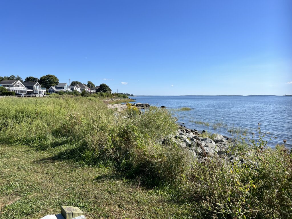 a grassy area next to a body of water (MyCoast AI)