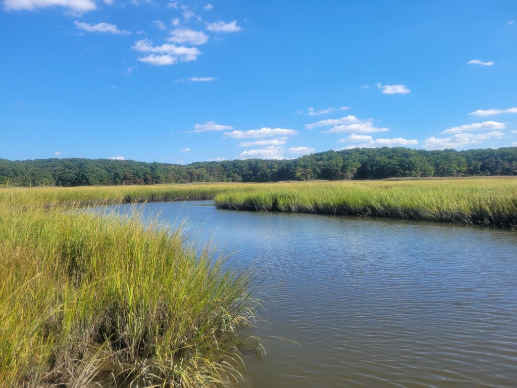 a body of water with grass and trees around it (MyCoast AI)