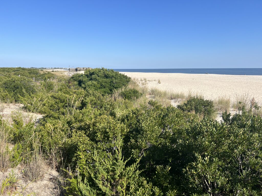 a landscape with trees and bushes (MyCoast AI)