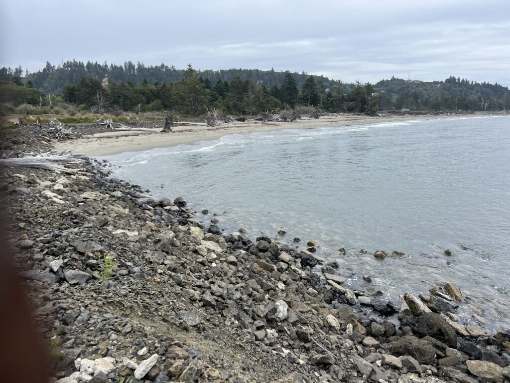 a rocky shore with a body of water and trees in the background (MyCoast AI)