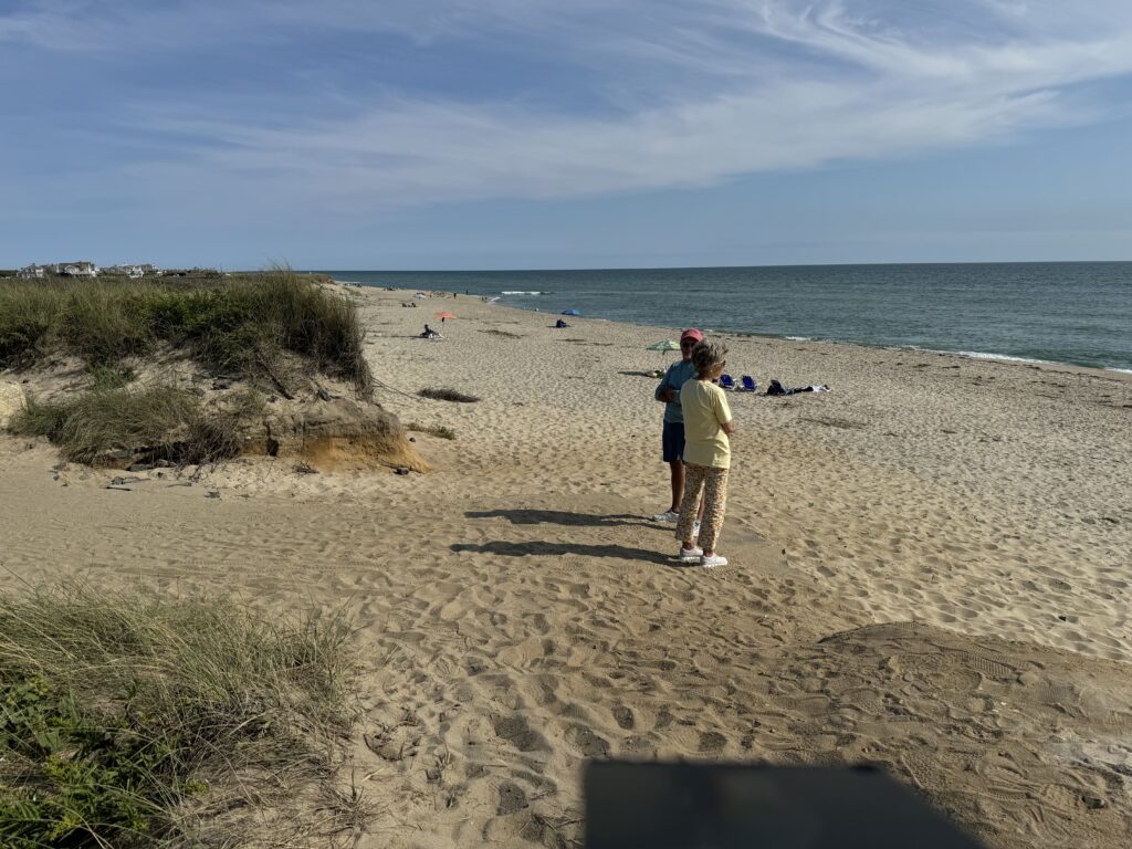a couple of people on a beach (MyCoast AI)