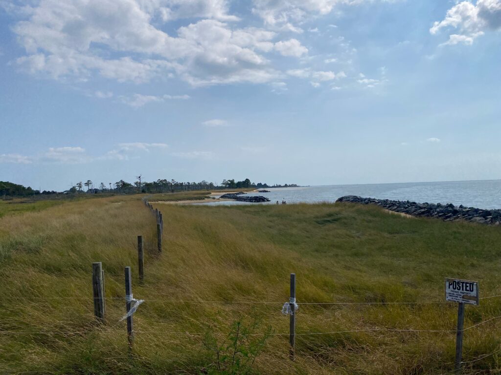 a grassy area next to a body of water (MyCoast AI)