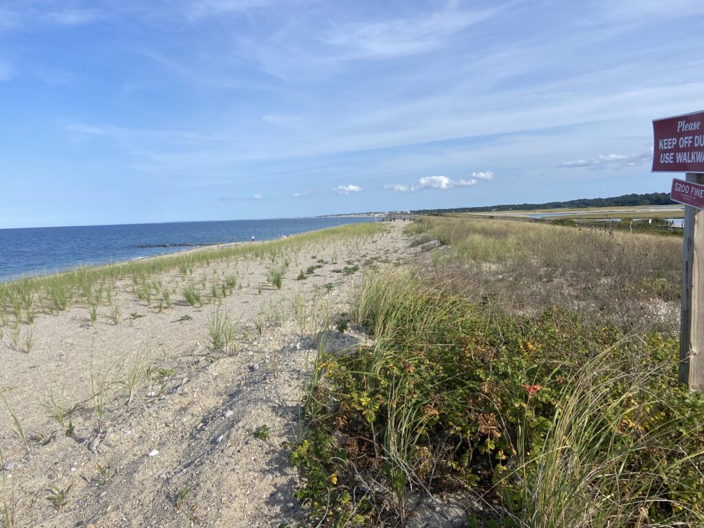 a dirt road next to a beach (MyCoast AI)