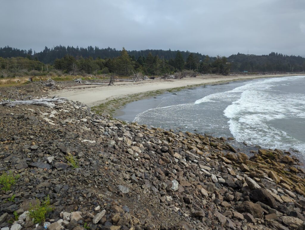 a rocky beach with trees in the background (MyCoast AI)