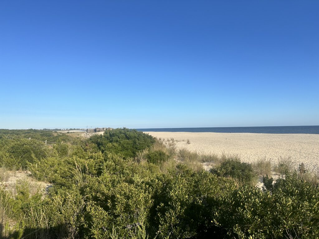 a landscape with bushes and trees (MyCoast AI)