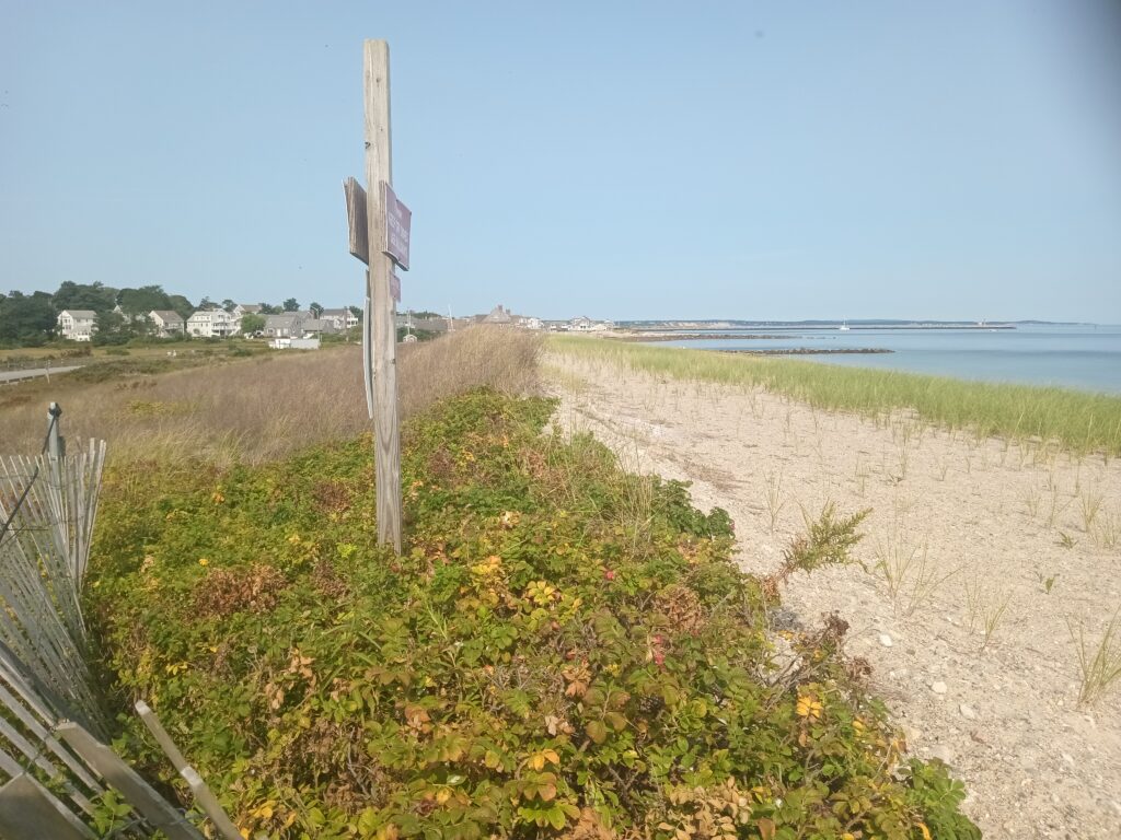 a beach with a sign (MyCoast AI)