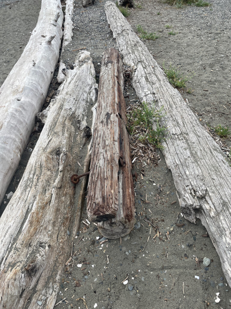 a group of wooden planks (MyCoast AI)