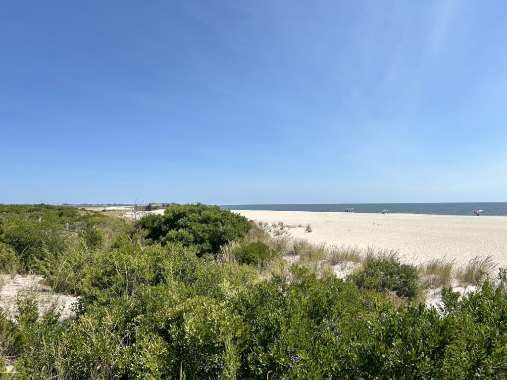 a sandy beach with bushes and trees (MyCoast AI)