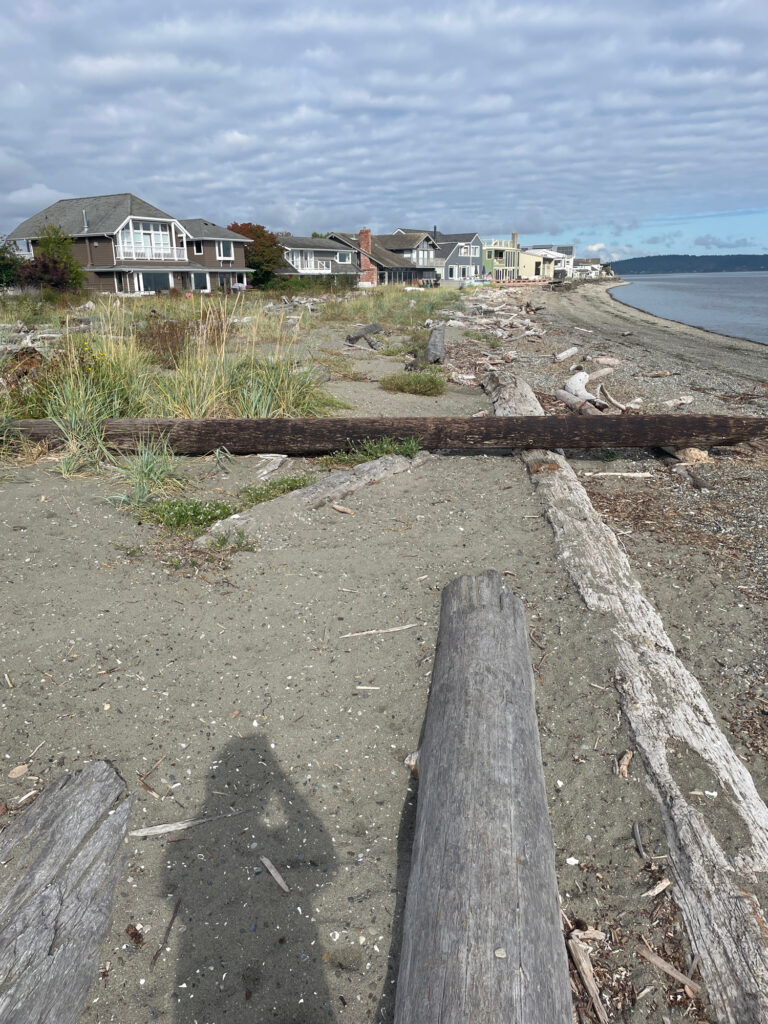 a beach with houses along it (MyCoast AI)