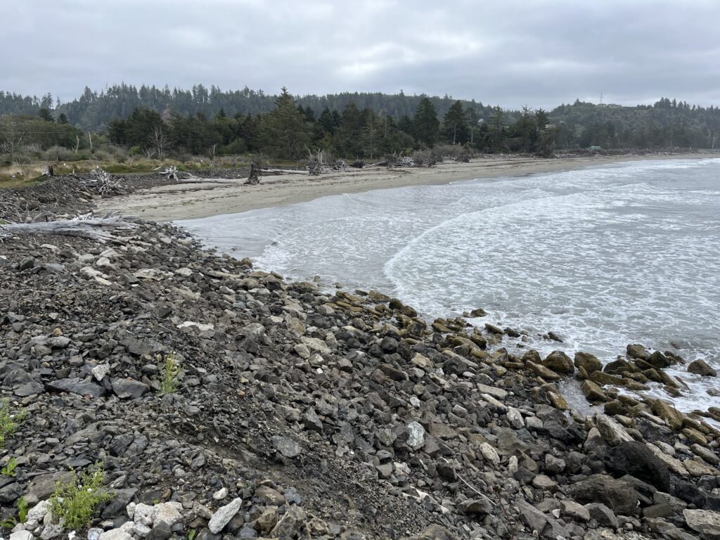 a rocky shore with a body of water and trees in the background (MyCoast AI)