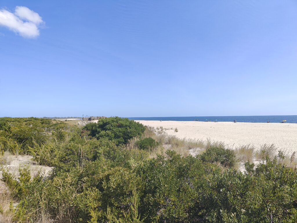 a sandy beach with trees (MyCoast AI)