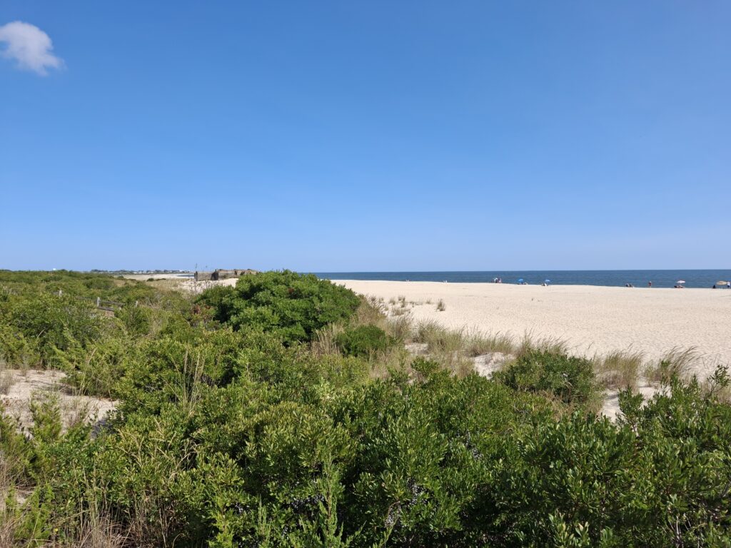 a sandy beach with bushes and trees (MyCoast AI)
