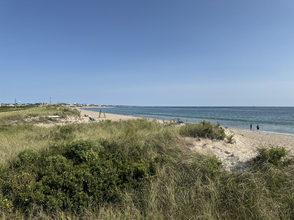 a beach with people walking on it (MyCoast AI)