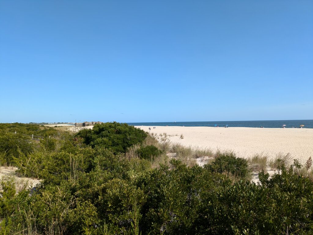 a sandy beach with bushes and trees (MyCoast AI)