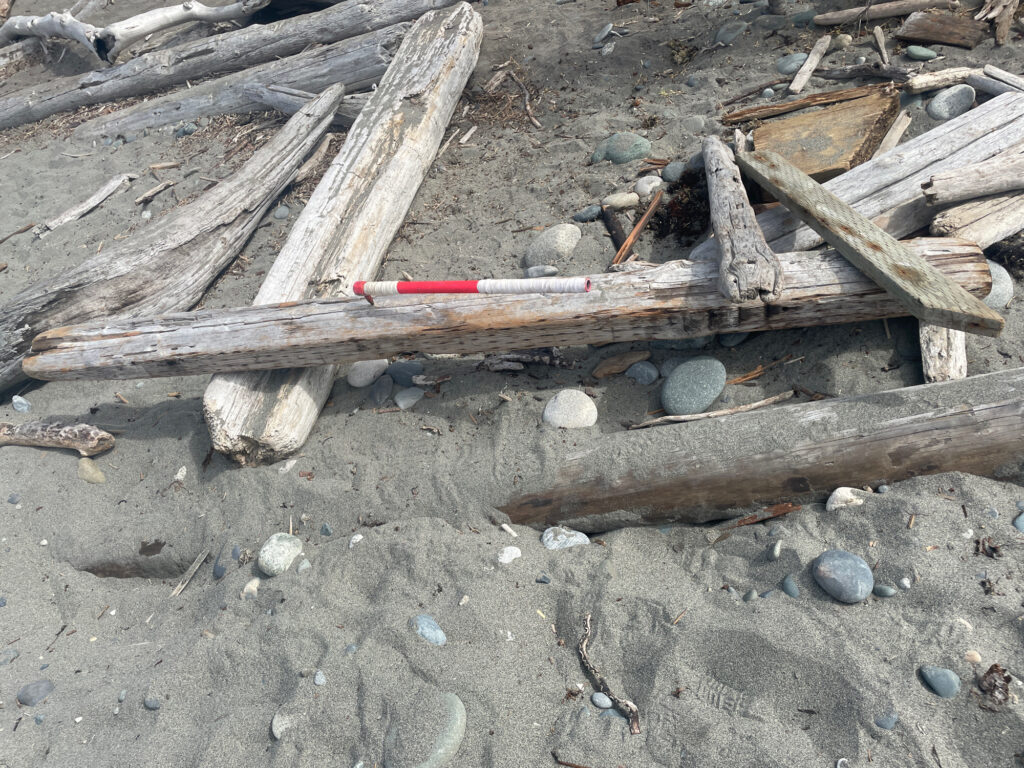 a pile of wood (MyCoast AI)