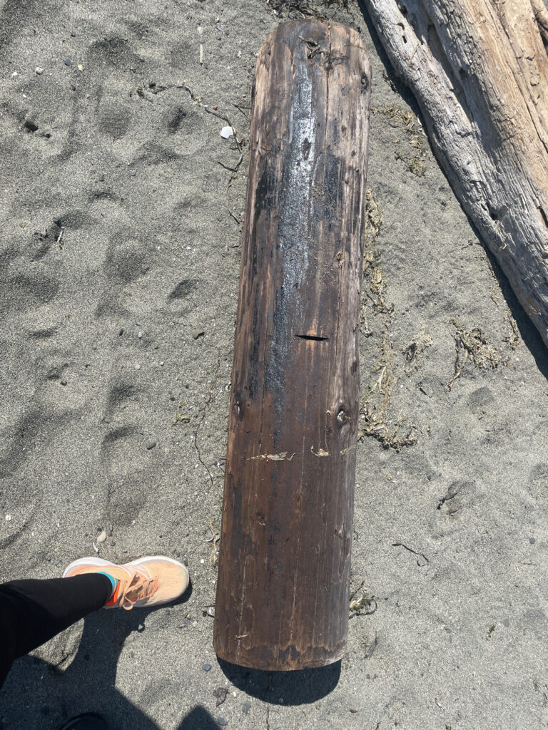 a person's feet on a wooden post (MyCoast AI)
