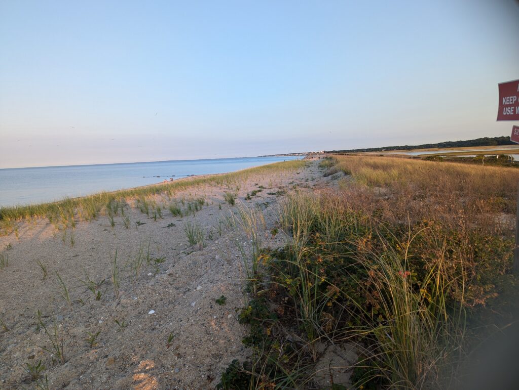 a sandy beach with grass and water (MyCoast AI)