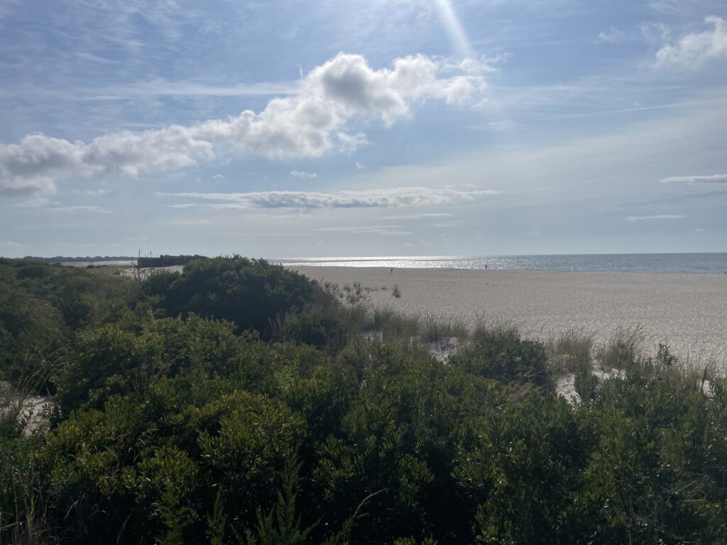 a beach with trees and water (MyCoast AI)