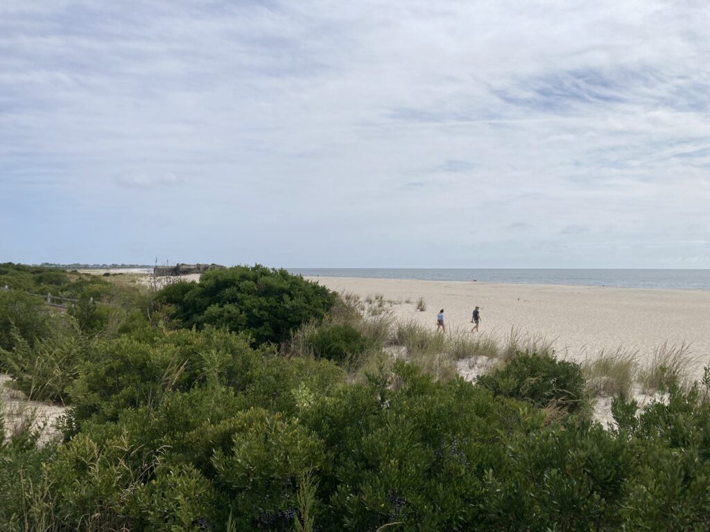 people walking on a beach (MyCoast AI)