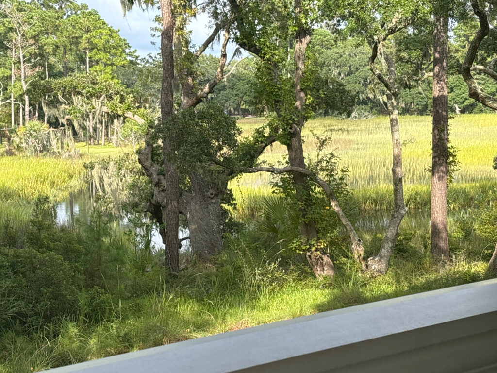 a river with trees and grass (MyCoast AI)