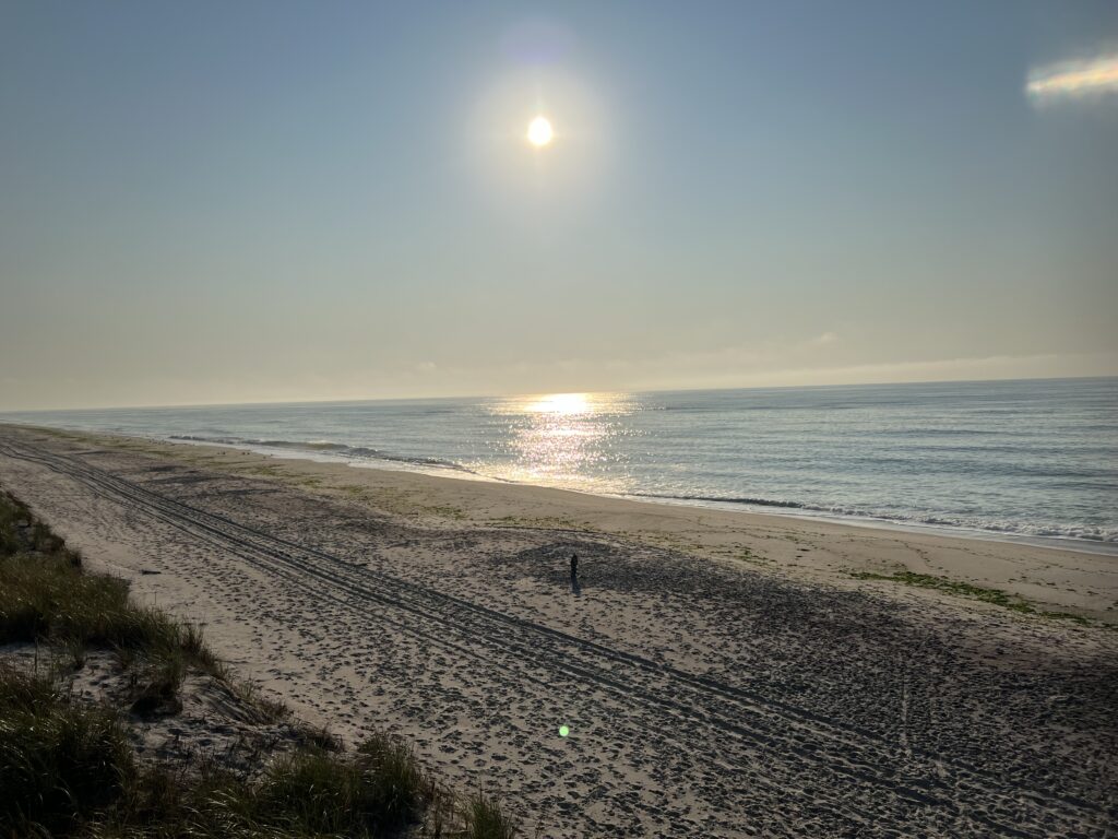 a sandy beach with the sun shining (MyCoast AI)